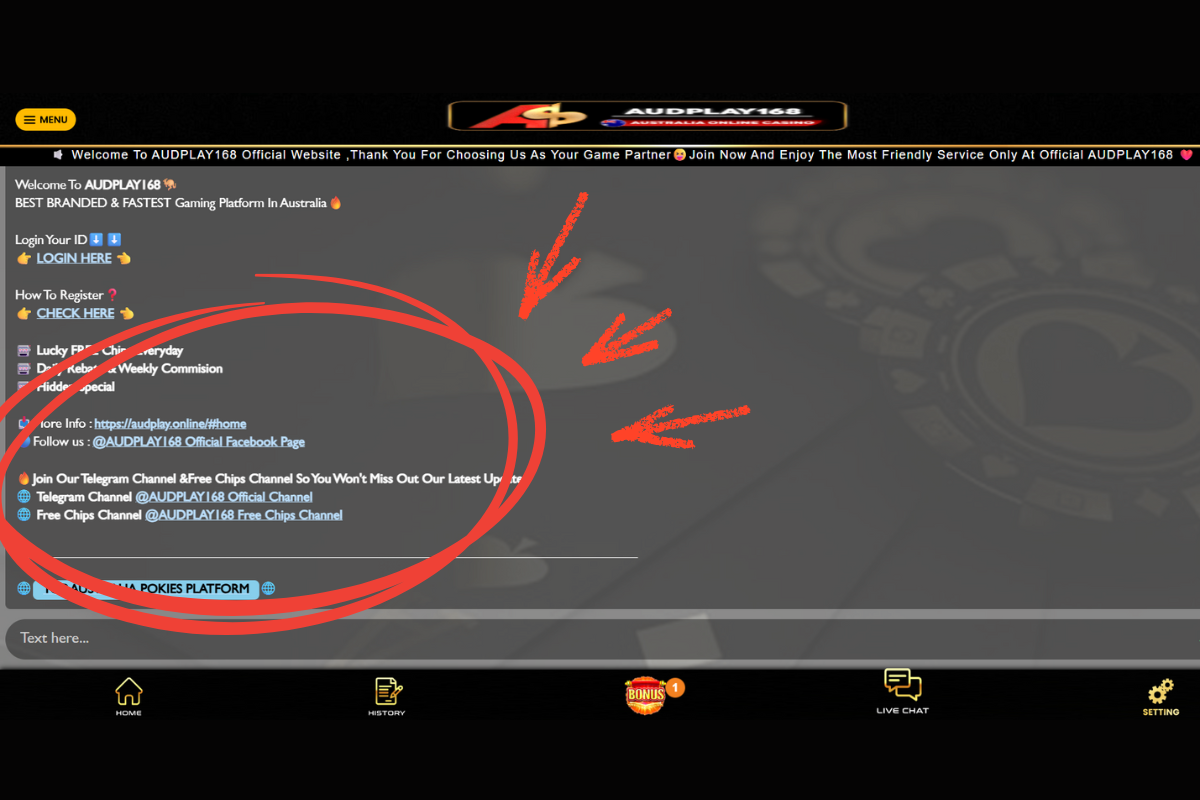 audplay social media