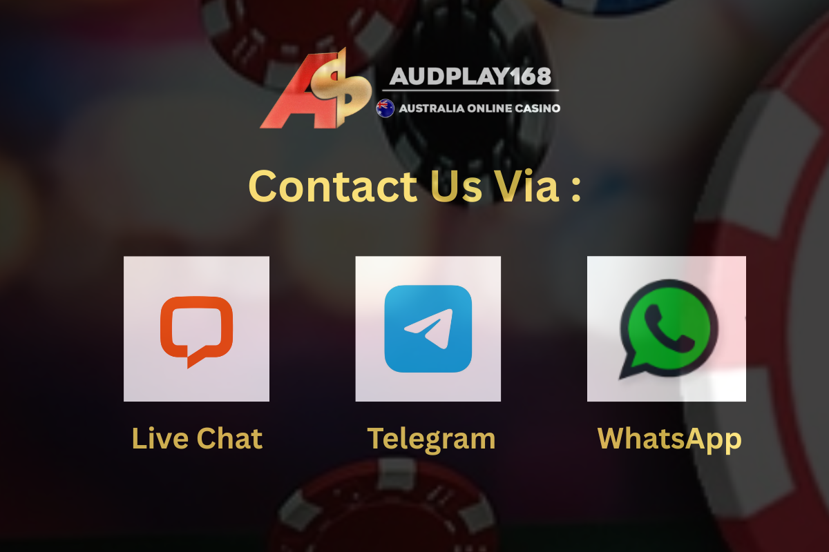 audplay contact support