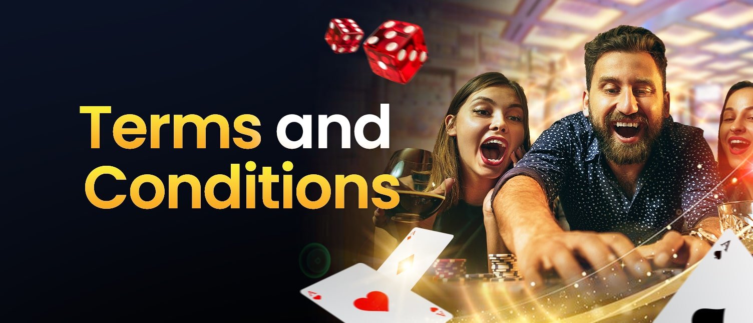 audplay terms & conditions